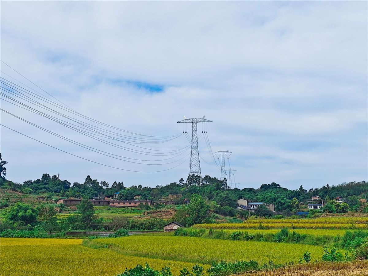 bjl平台·(中国)集团